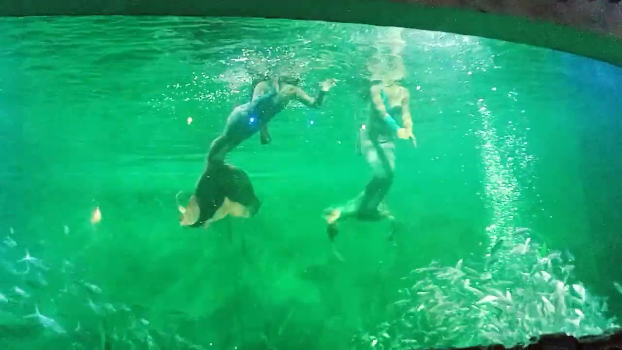 MERMAID SHOW DI ANCOL