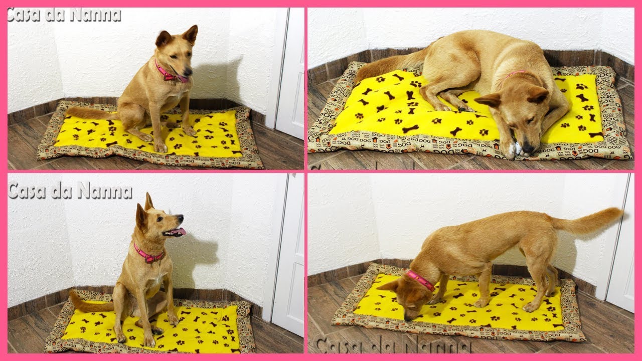 Cama Tapete para PET-DIY caminha para pet.