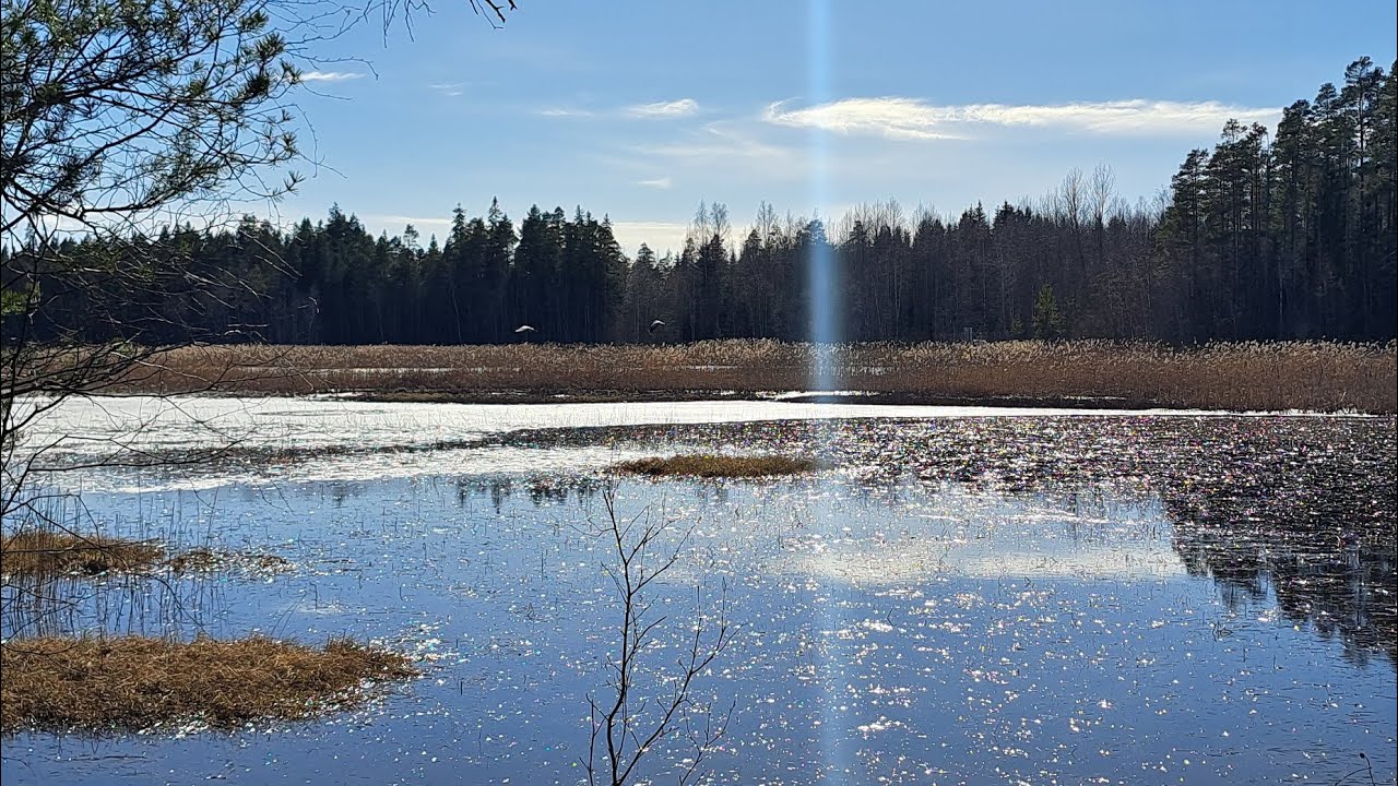 Päivävaellus Koskeljärven lintuparatiisiin | tortilloja tulilla | ENG SUBS