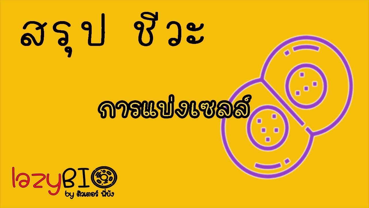 สรุปชีวะ การแบ่งเซลล์