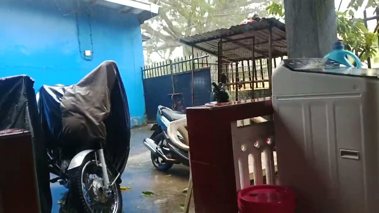 Typhoon ASMR (Melissa/Uwan)