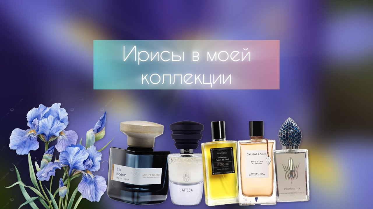МОЯ ИРИСОВАЯ КОЛЛЕКЦИЯ