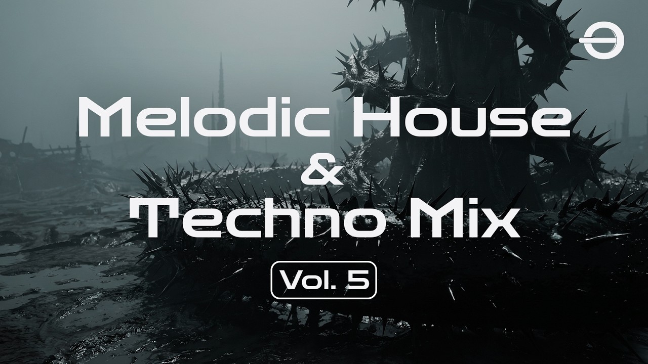 Electronic Festival DJ Set 2025 | Private Jet Hangar Party | OLIWIA MOON |