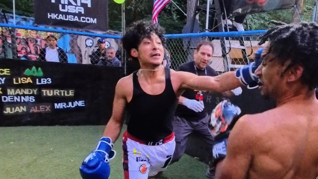 FIGHTS Streaming FOR YOU 📱