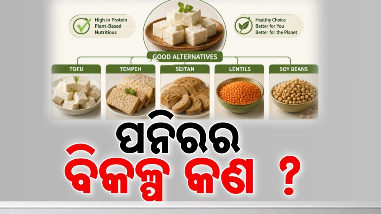 🔴Live | ପନିରର ବିକଳ୍ପ କଣ ? | Paneer Alternatives | Healthy Superfoods | Argus News