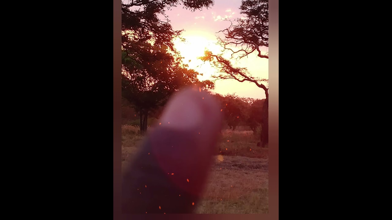 ST Mary's we're flying 🕊️ high official lyrics video