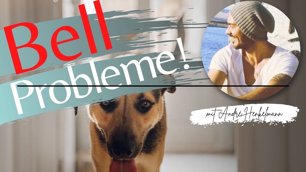 Wenn dein Hund draußen ein Geräusch hört und bellt! (Profi-Tipps/Hilfe)