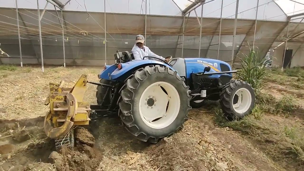 TD90F 🇹🇷 EL TRACTOR NARROW MAS POTENTE & EQUIPADO DE 🇲🇽 SUBSUELO⛏️ RECTO 3 TIMONES EN  INVERNADEO 🥒