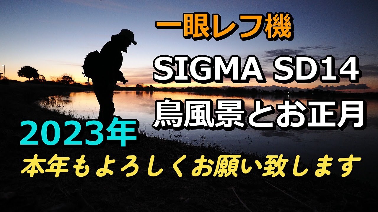 「休日の記録」まずはレフ機  SIGMA SD14 風景野鳥とお正月