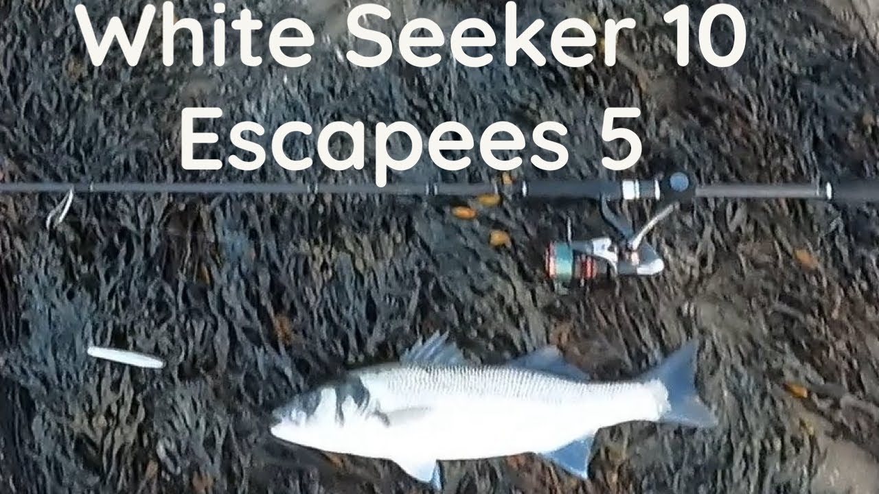 Savage gear seeker ISP: ловля морского окуня на приманку