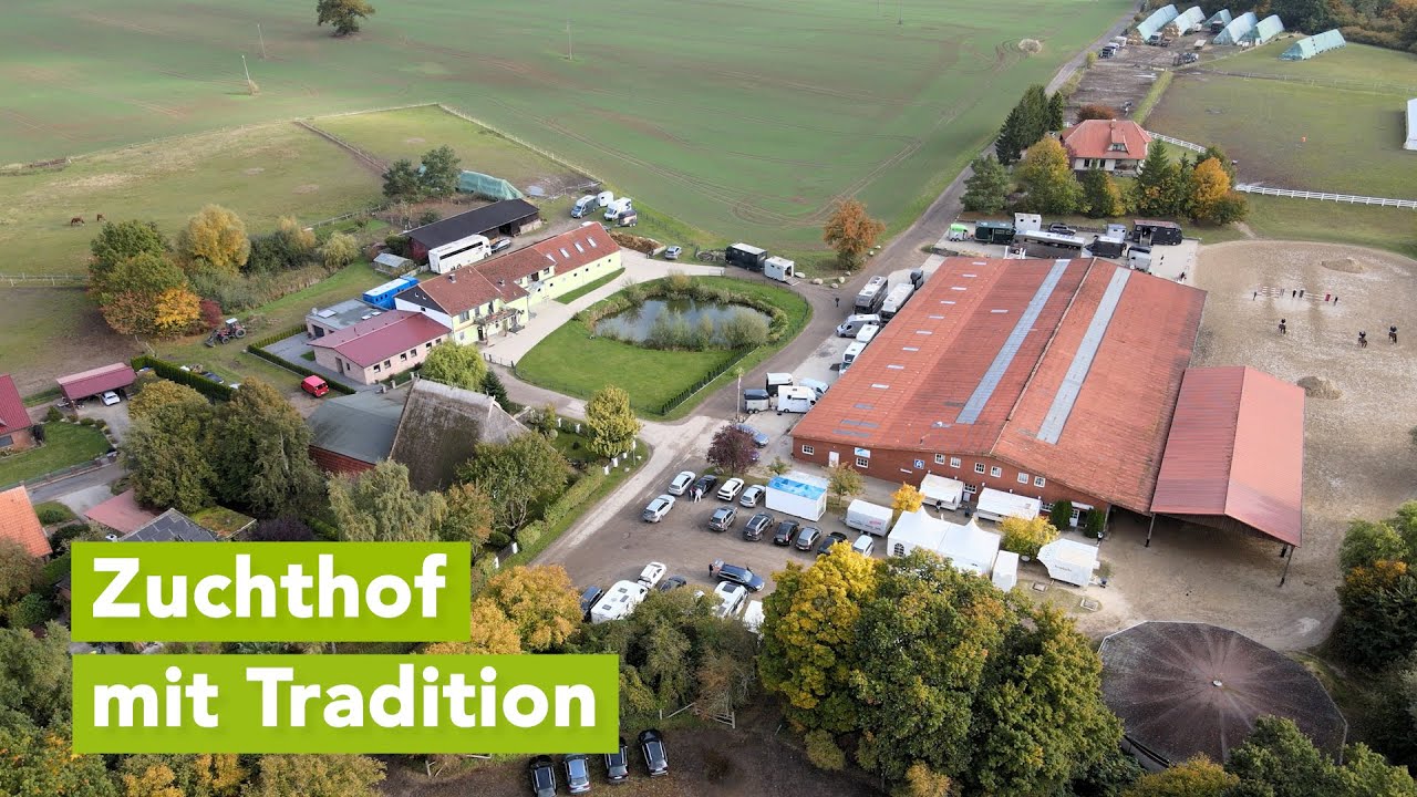 Vier Tage Reitsport pur: Hallen-Springturnier in Gadebusch