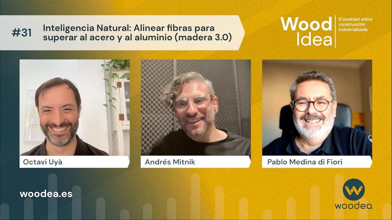 Wood Idea #31 Inteligencia Natural: Alinear fibras para superar al acero y al aluminio (madera 3.0)