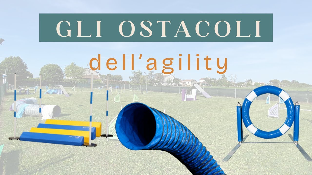 GLI OSTACOLI DELL'AGILITY