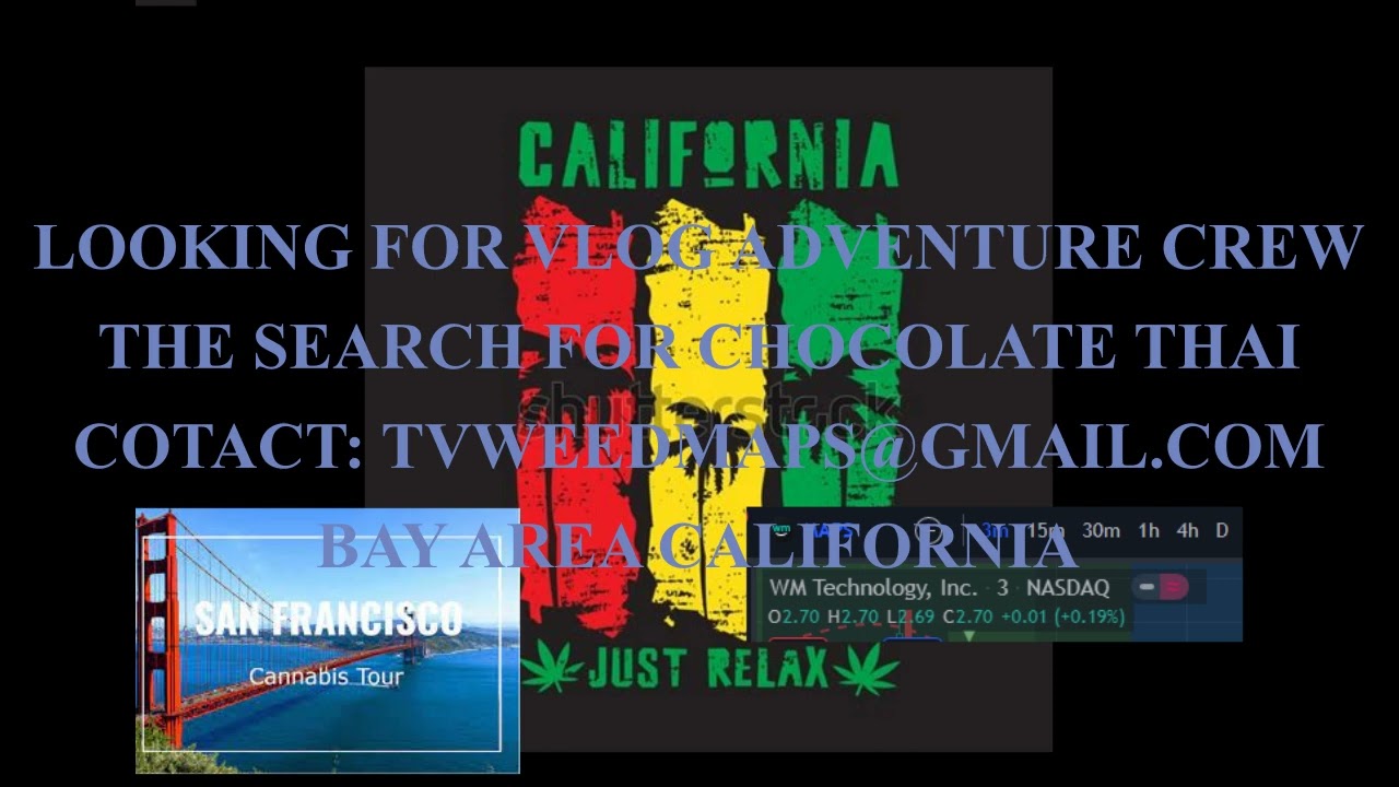 BAY AREA SF CANNABIS TOUR VLOG CHOCOLATE THAI: The Samurai Way