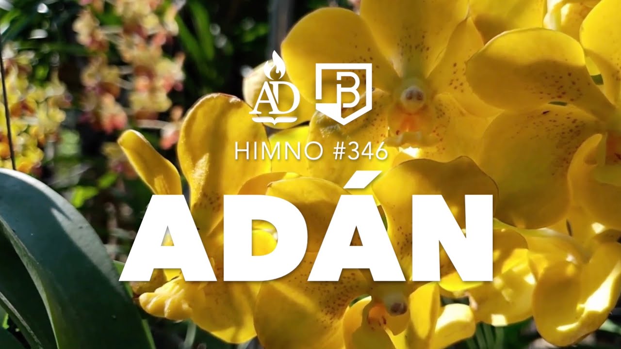 #346 | Adán (La fruta de un árbol/¿Dónde estás tú?) - Dueto Salmerón