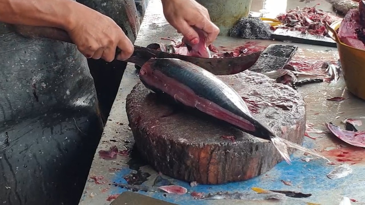 The Fastest Tuna Cutting in the World Done in Just Minutes