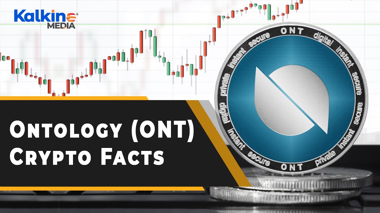 What Is Ontology Crypto? All You Need To Know