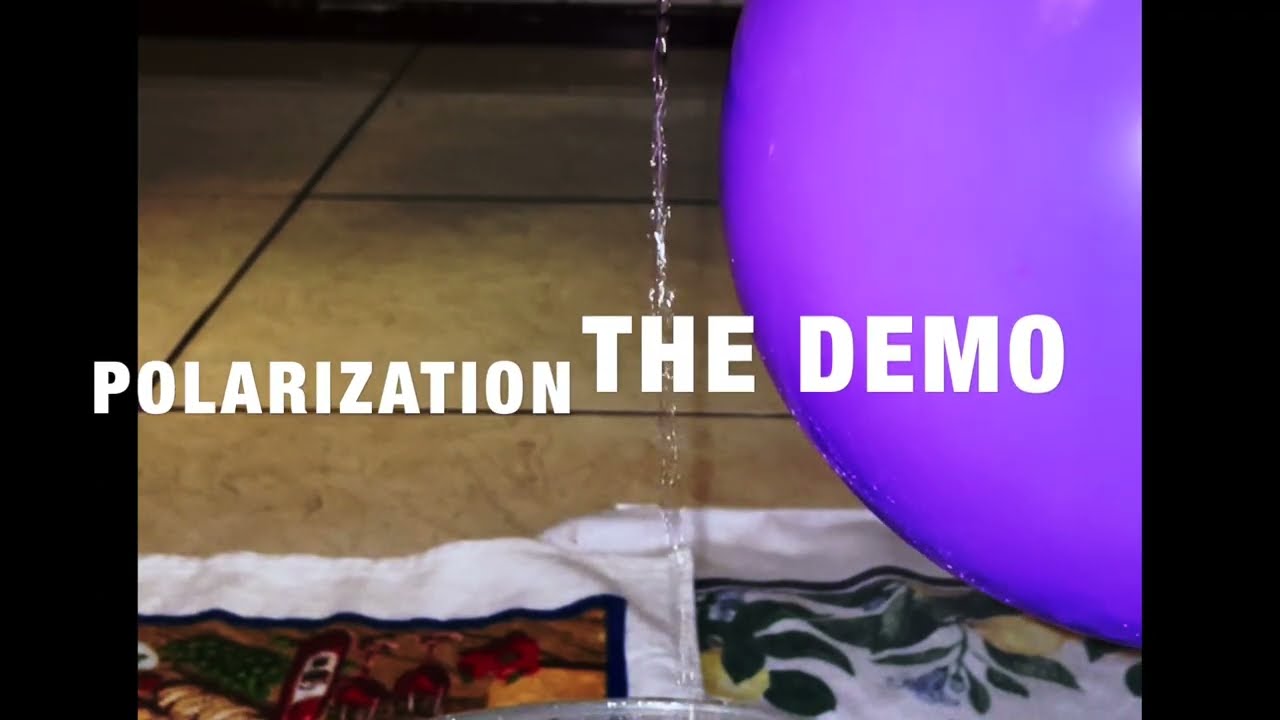 Electrostatics: Polarization | GES 101 20-21
