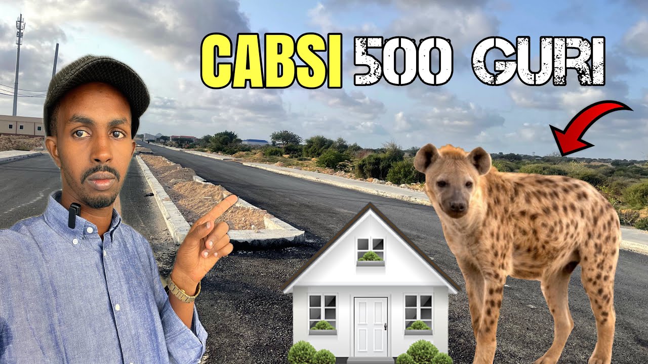 Xaafada Cidlada laga dhisay 500 oo Guri hada farta laga qaaday
