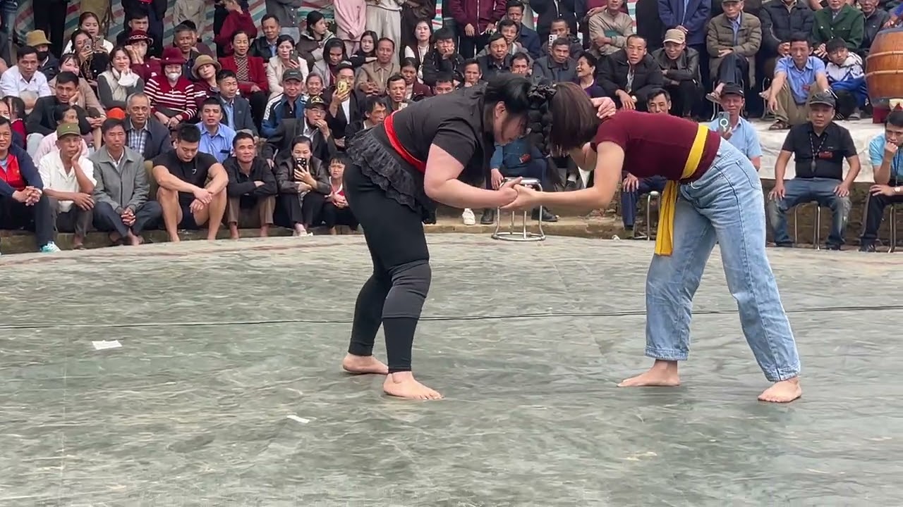 Hội