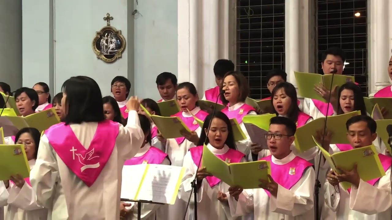 Tâm Tình Hoà Bình - Mi Trầm