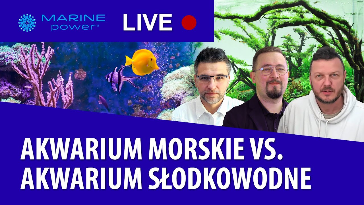 TROPICAL Marine Power Live | Akwarium morskie vs. akwarium słodkowodne