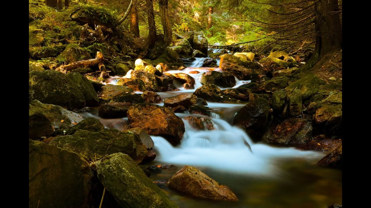 ALAN WATTS 🔥 TERRESTRIAL EXITIUM   ALAN WATTS CHILLSTEP MIX #3   1 HOUR +