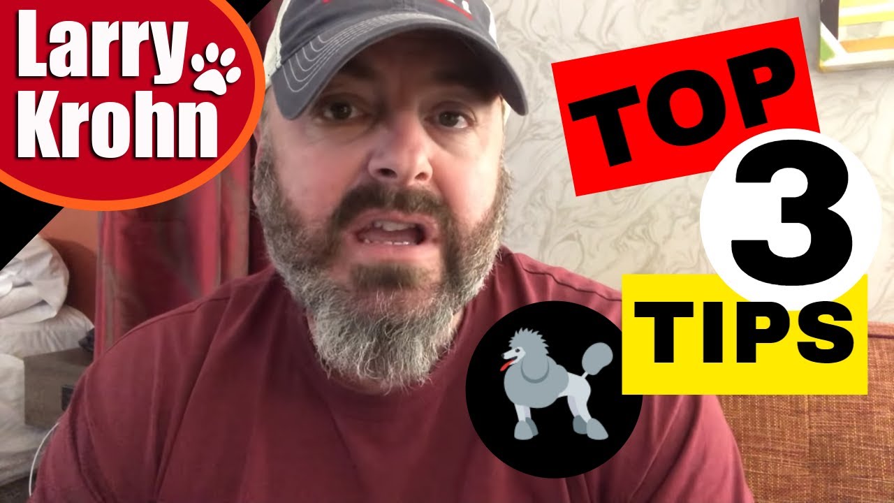 Three very helpful dog training tips