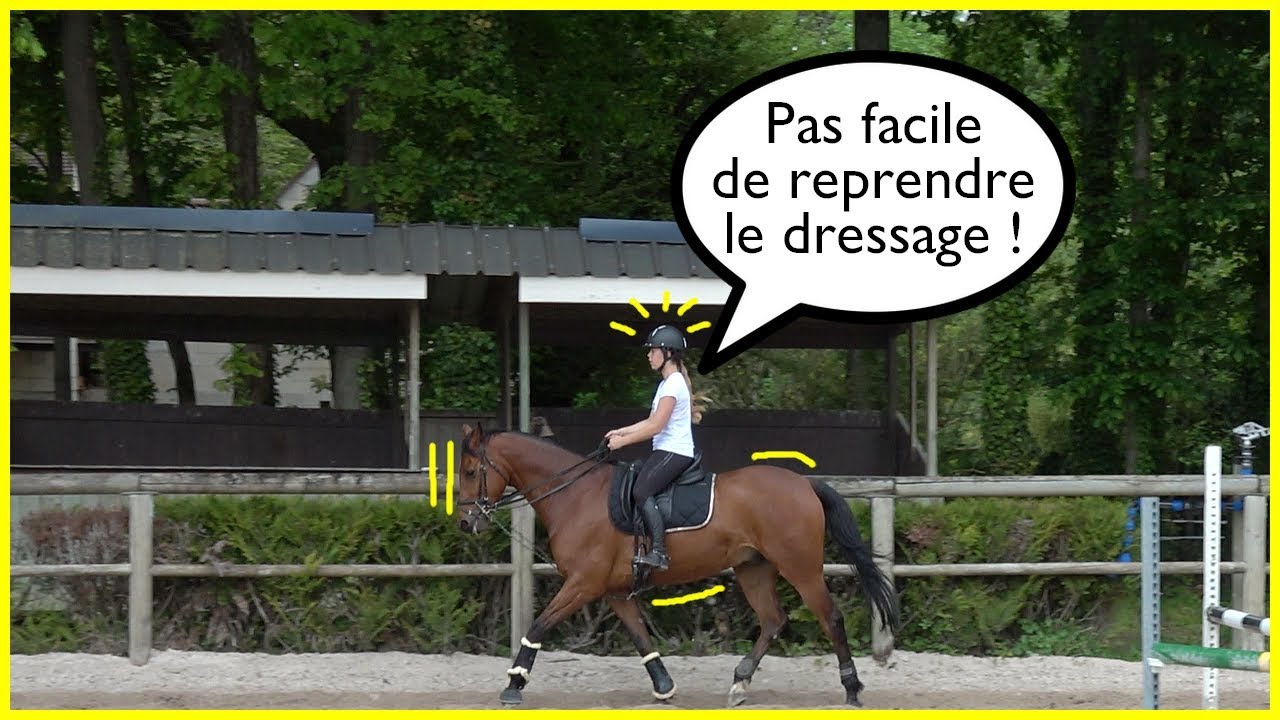 UNE SÉANCE DE DRESSAGE AVEC UN CHEVAL DE PROPRIÉTAIRE !