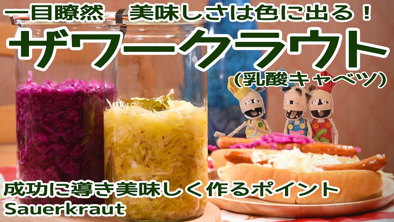 これでバッチリ成功！決め手は黄白色【美味しさは色に出る】ザワークラウト(乳酸キャベツ)の作り方《腸内環境◎植物性乳酸菌豊富》キャベツと塩の発酵食品・保存食 How To Make Sauerkraut