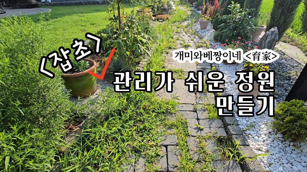 (잡초) 관리가 쉬운 정원 만들기 / 집 짓고 8년만에 생긴 길 / 잡초 안나는 방법 / 100%셀프정원