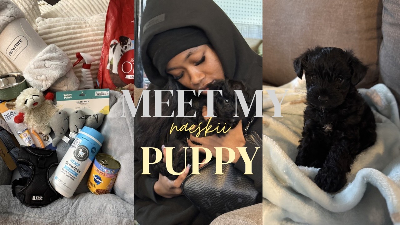 Видеоблог о щенке 🐾🐶🎀 Первые 2 недели дома с моим йоркширским терьером | Покупки, обустройство ма...
