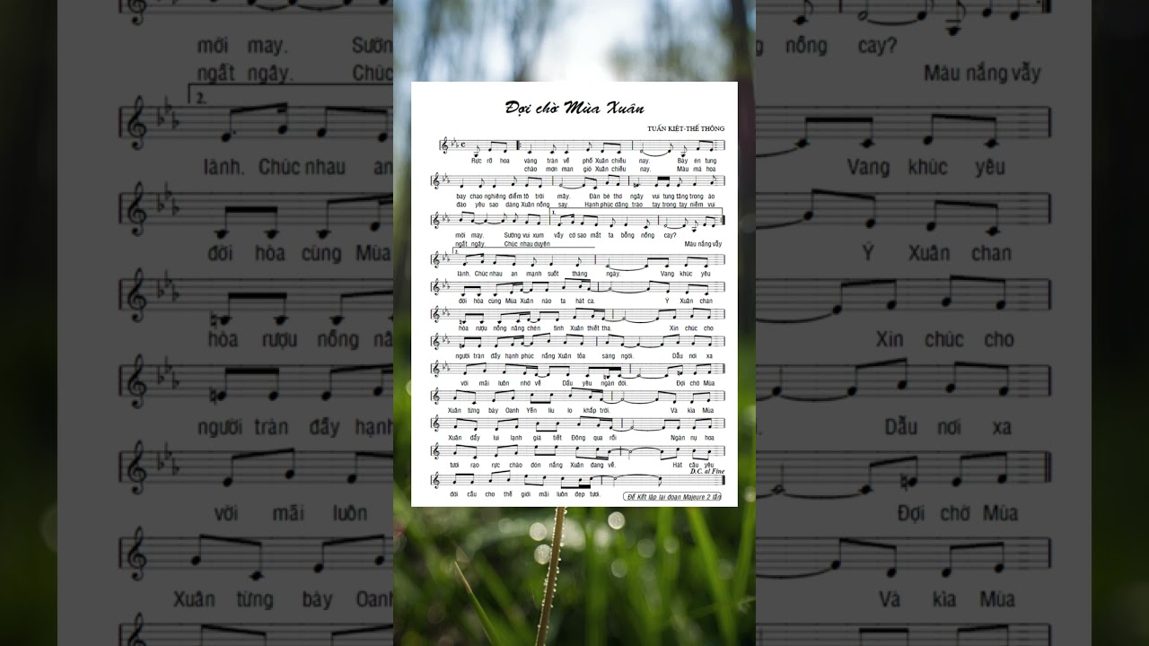 Đợi chờ mùa xuân (Tuấn Kiệt-Thế thông) Remix