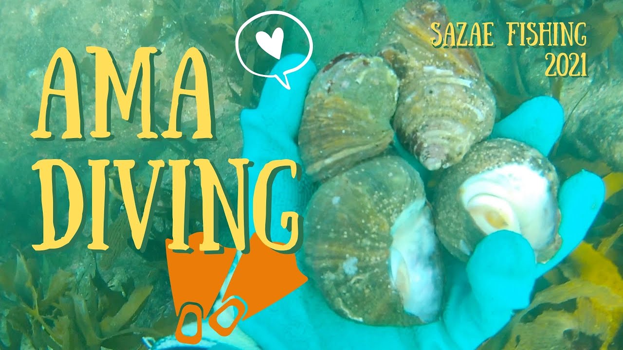 Ama Diving Video (November 2021) Sazae Fishing