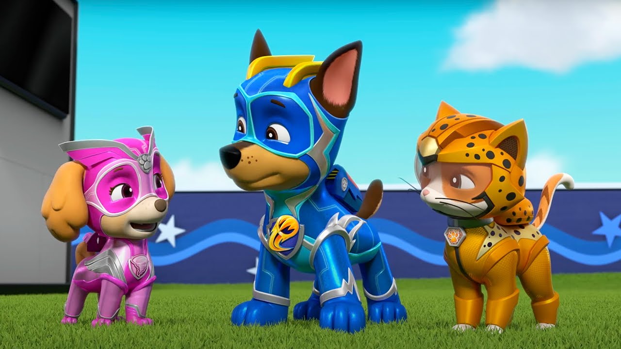 PAW Patrol - Cat Pack: Rocket Rescuers | Season 9 Compilation | WildBrain Zoo | Cartoons for Kids