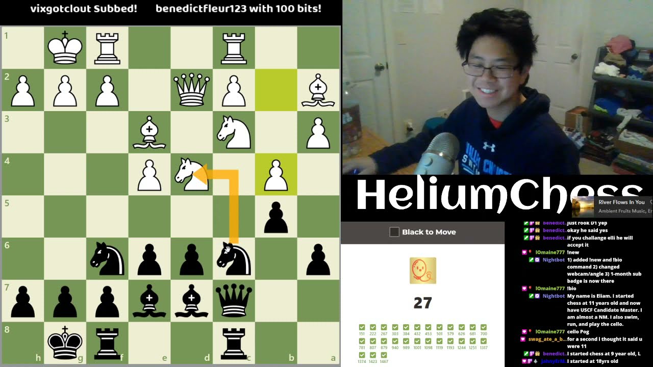 End of Chess game in 20 moves