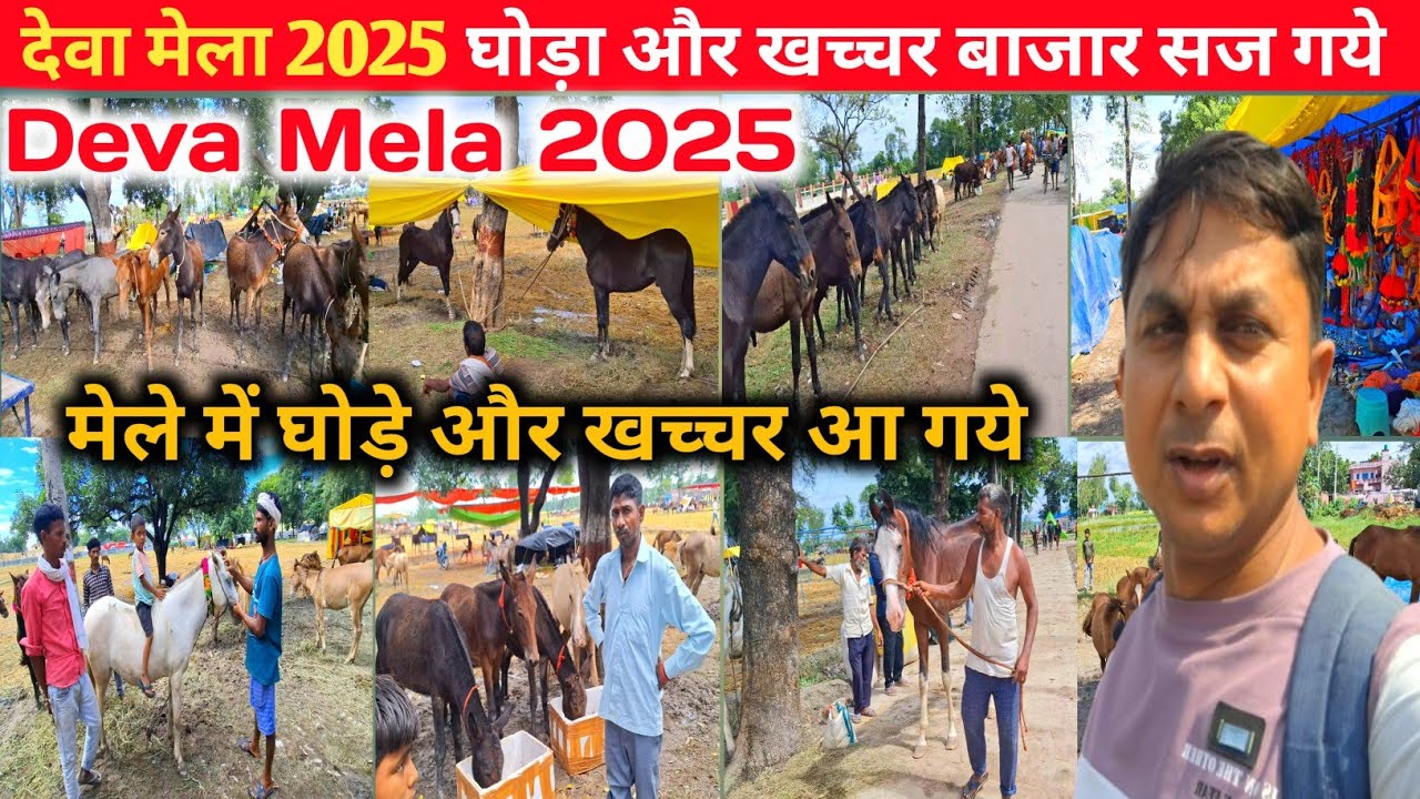 देवा मेला 2025 घोड़ा बाजार खच्चर बाजार New Update 🐎💥|Dewa Mela Ghoda bazar |Deva Mela 2025