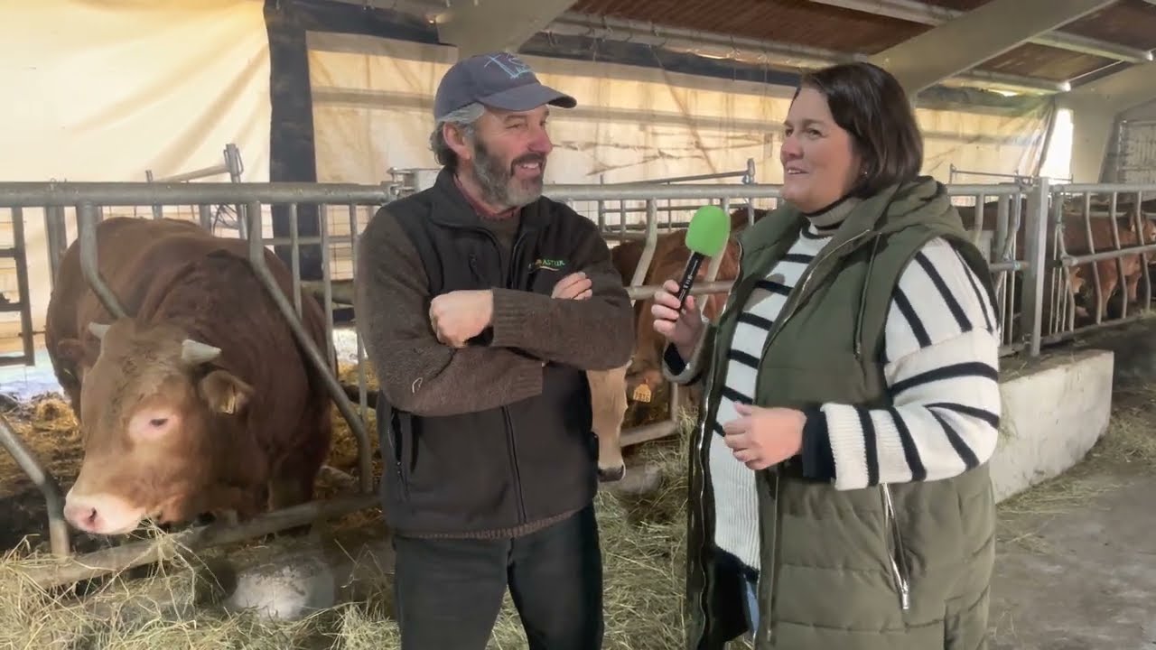 Celso Fernández Queipo de Ganadería Casa Tronca de Santullano (Allande) / El Campo de Asturias