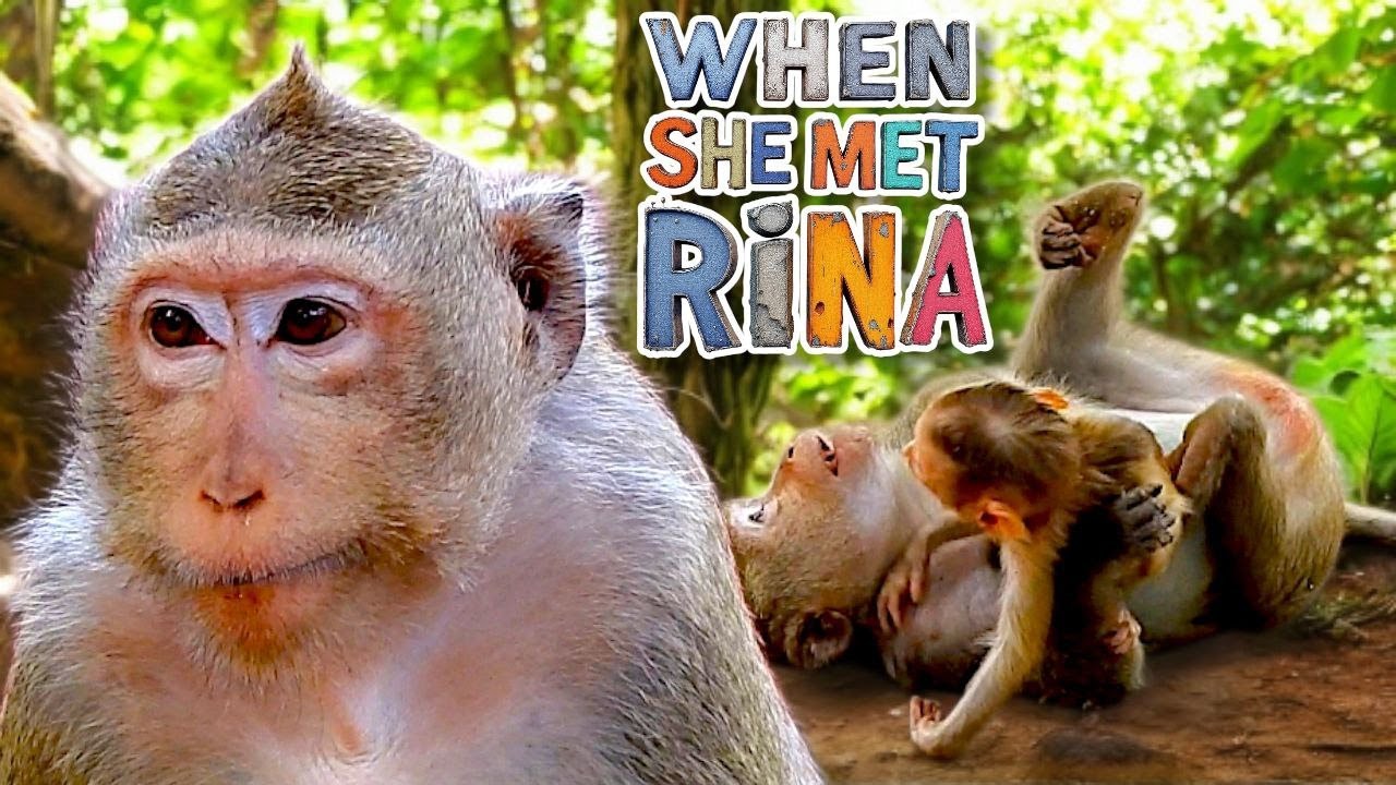 She Lost Her Baby… What Astra Did When She Met Baby Rina Will Touch Your Heart