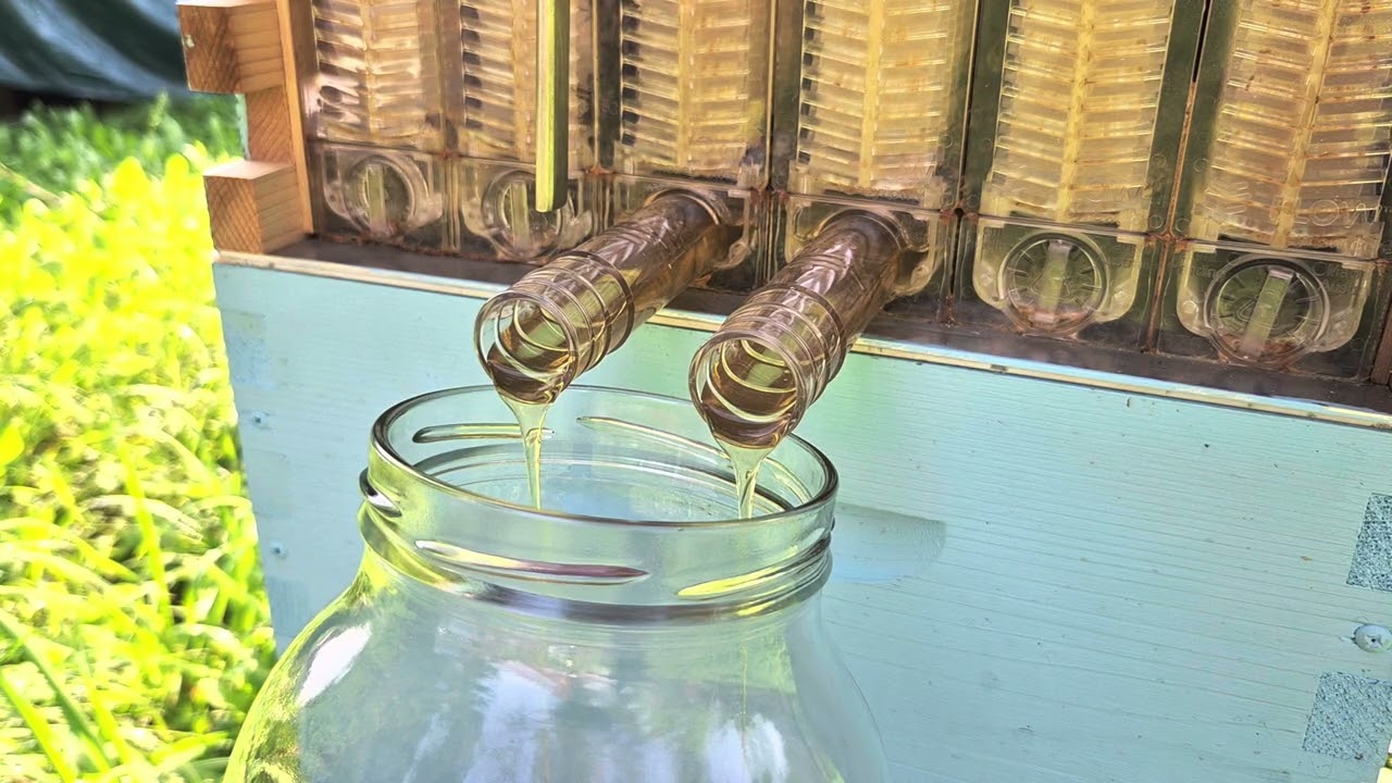 First beehive. Part 6