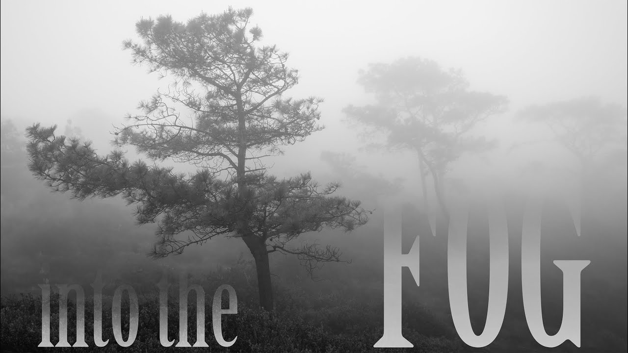 Hiking through the Mist at Torrey Pines | Black & White Landscape Photography w/ Canon 5DSR | 4K