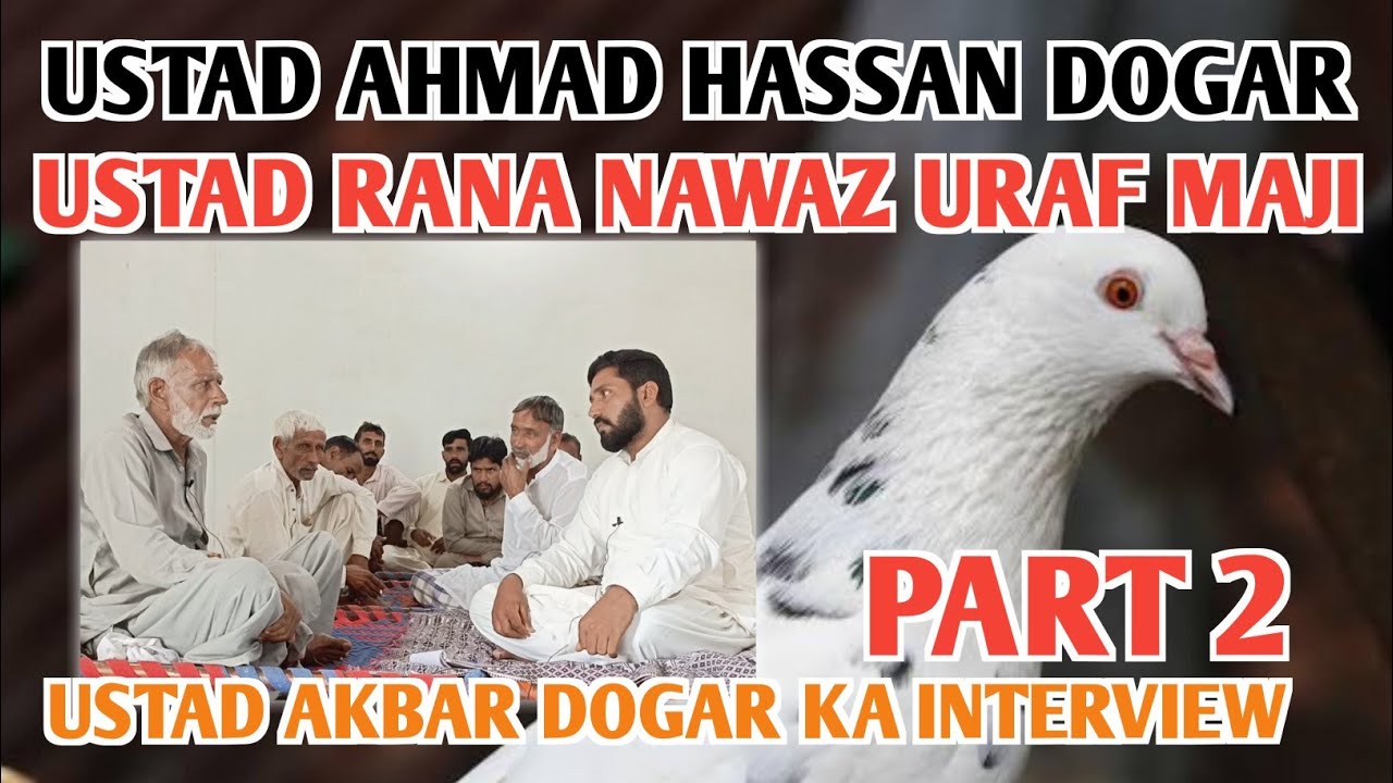 IK SHONK KABOOTAR BAAZI DA INTERVIEW|| USTAD AHMAD HASAAN|| USTAD MAJI|| USTAD AKBAR ALI DOGAR PART2