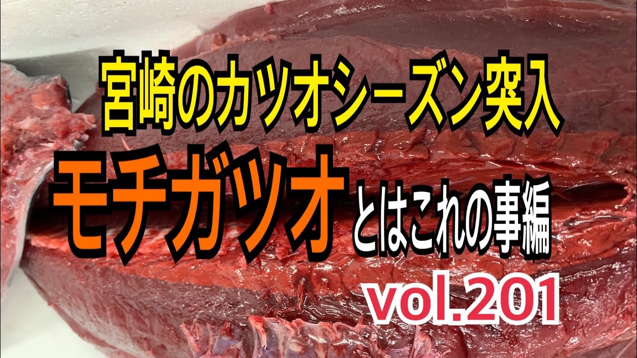 モチガツオとはこれの事編 vol.201