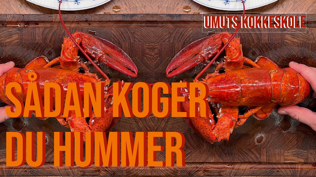 Sådan afliver, tilbereder og piller du en hummer!