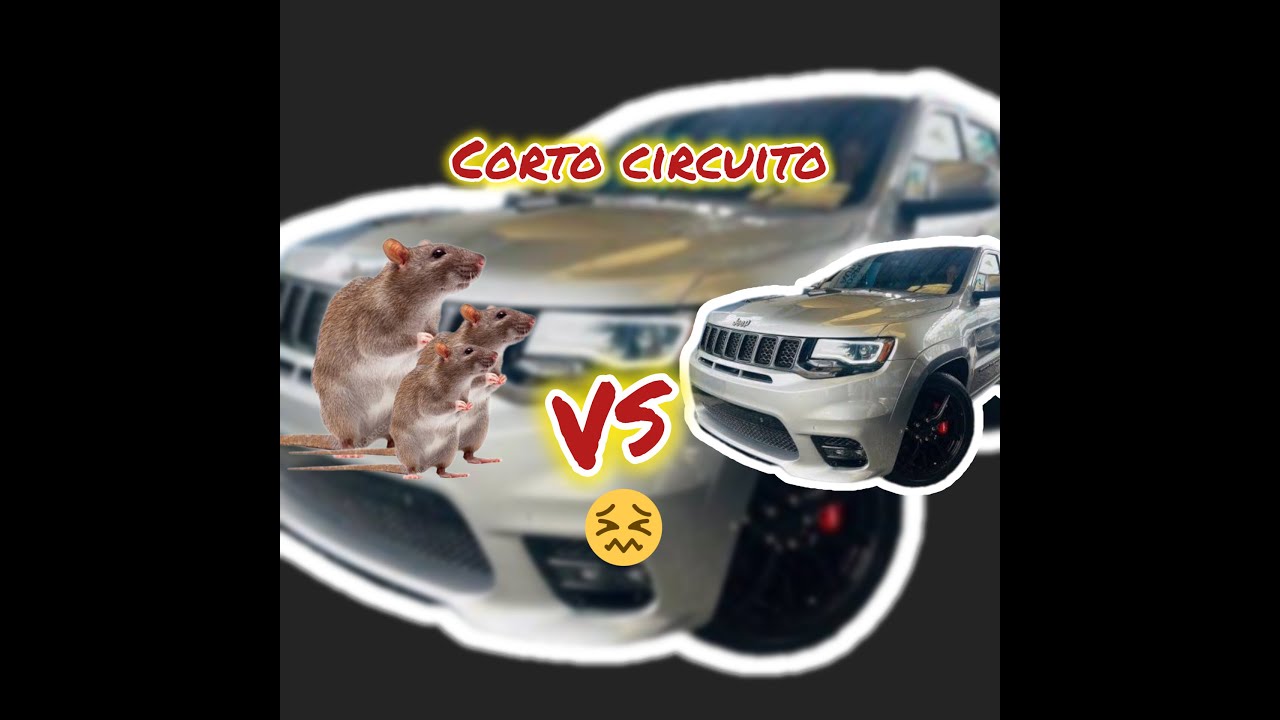 Jeep grand cherokee. Por esto el ABS se deshabilitaba al encender luces, corto circuito!! 🚨🚨