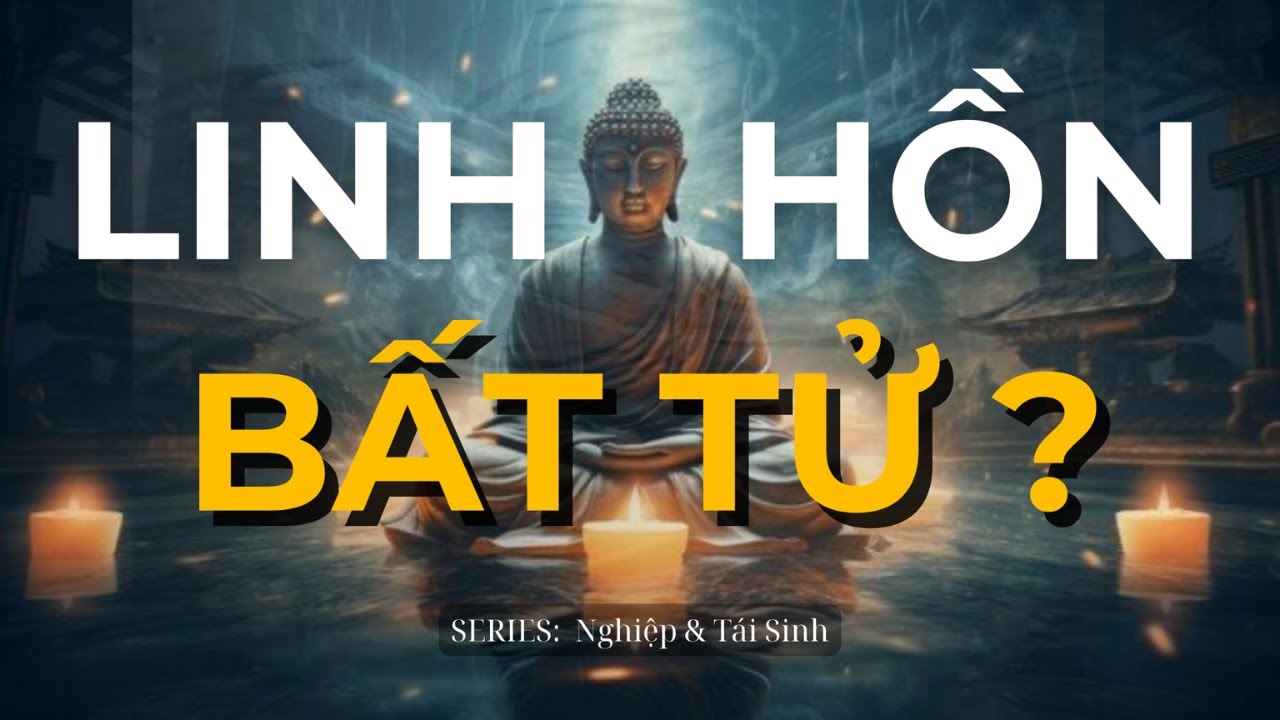 Chết Rồi Là Hết – Hay Còn Một Đời Sau? | Series Nghiệp & Tái Sinh | Trí Tuệ Phật Học