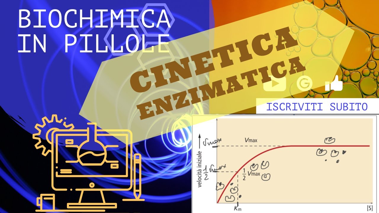Cinetica enzimatica di Micaelis e Menten