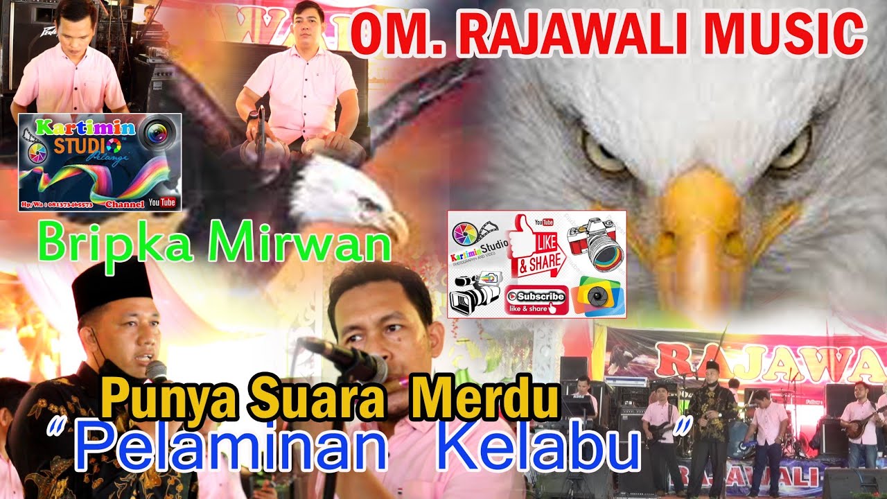 // Pelaminan Kelabu // Bripka Mirwan //Punya Suara Merdu //OM.RAJAWALI MUSIC// Regan Agung//