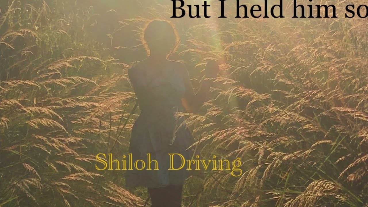 Marce sir (instrumental) - Shiloh Driving
