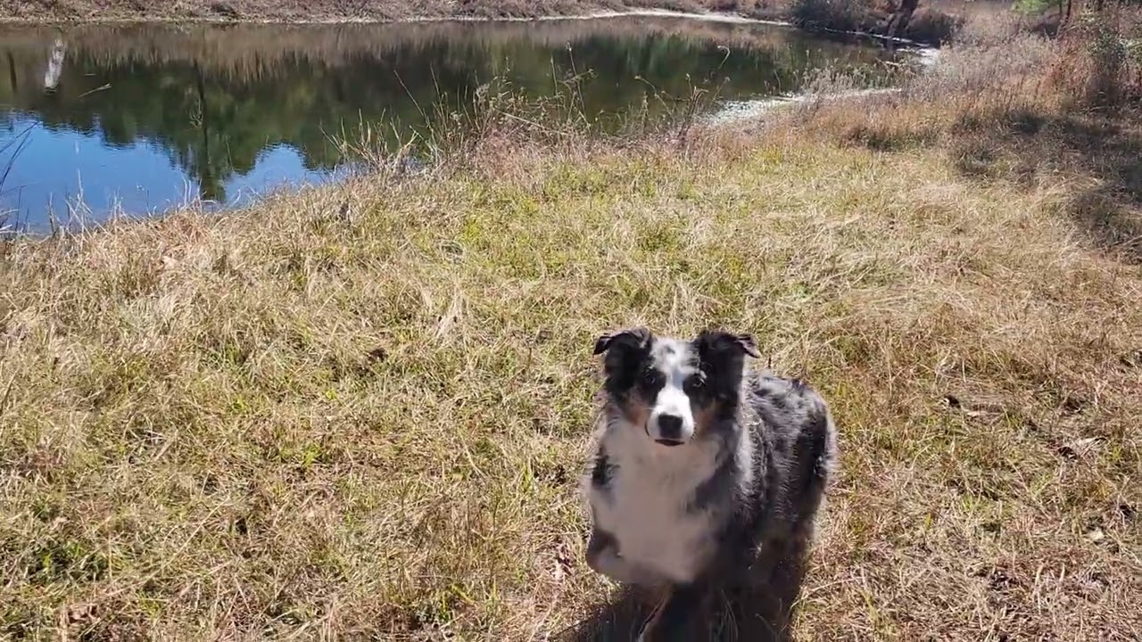 Take a walk to Indi's Pond with me.